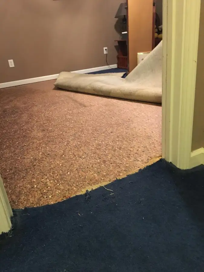 Carpet pad removal revealing water damage during Drying & Dehumidification in New Paltz