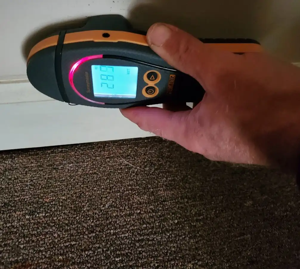 Moisture detection at baseboard during Sewage Cleanup & Sanitation in New Paltz
